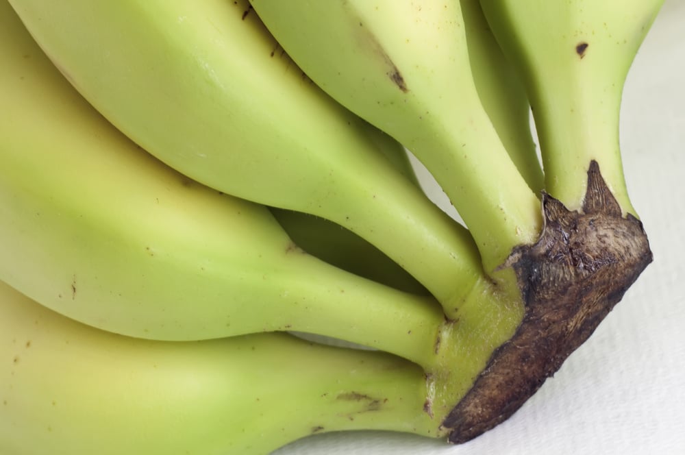 Bunch of bananas joined at the stem